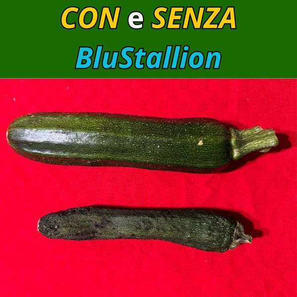 Thé Noir Puissant pour la Virilité et la Performance Sexuelle Aichun Beauty pour Hommes - 20 Sachets